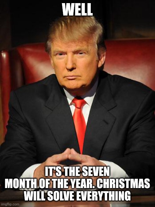 Serious Trump | WELL; IT'S THE SEVEN MONTH OF THE YEAR. CHRISTMAS WILL SOLVE EVERYTHING | image tagged in serious trump | made w/ Imgflip meme maker