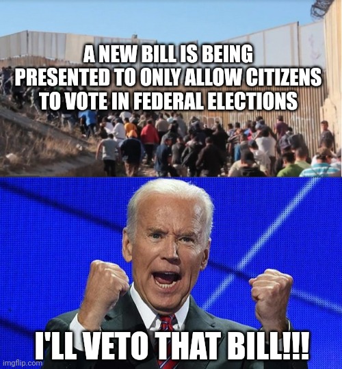 The fix is in - Democrats will cheat through illegal votes | A NEW BILL IS BEING PRESENTED TO ONLY ALLOW CITIZENS TO VOTE IN FEDERAL ELECTIONS; I'LL VETO THAT BILL!!! | image tagged in illegal immigrants,joe biden fists angry | made w/ Imgflip meme maker