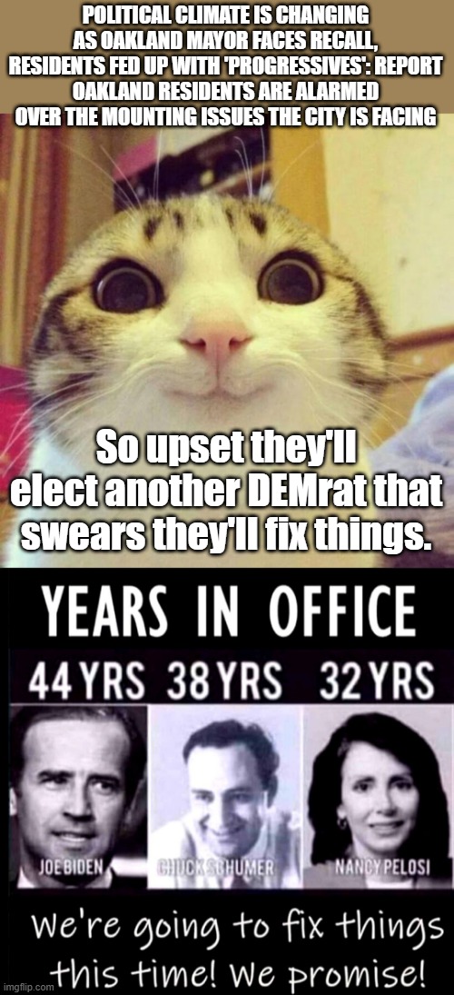 POLITICAL CLIMATE IS CHANGING AS OAKLAND MAYOR FACES RECALL, RESIDENTS FED UP WITH 'PROGRESSIVES': REPORT
OAKLAND RESIDENTS ARE ALARMED OVER THE MOUNTING ISSUES THE CITY IS FACING; So upset they'll elect another DEMrat that swears they'll fix things. | image tagged in memes,smiling cat | made w/ Imgflip meme maker