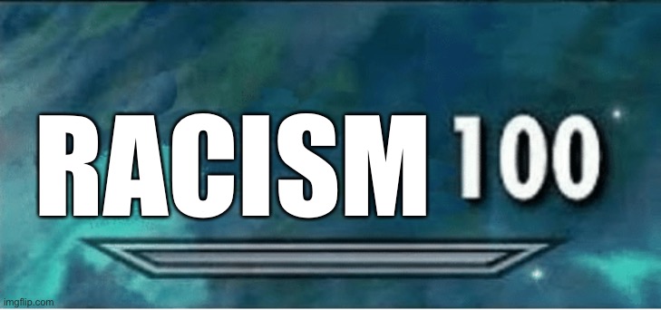 Skyrim 100 Blank | RACISM | image tagged in skyrim 100 blank | made w/ Imgflip meme maker