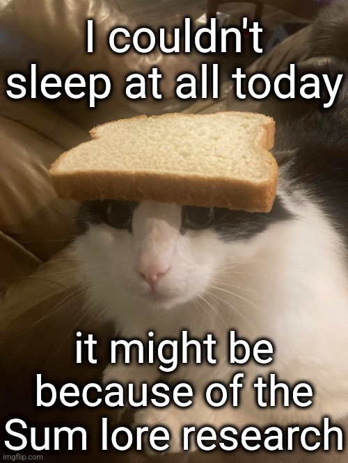 bread cat | I couldn't sleep at all today; it might be because of the Sum lore research | image tagged in bread cat | made w/ Imgflip meme maker