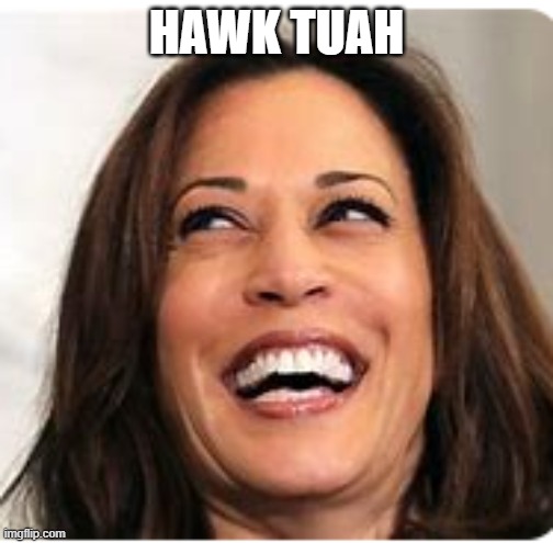 HAWK TUAH | HAWK TUAH | image tagged in kamala harris | made w/ Imgflip meme maker