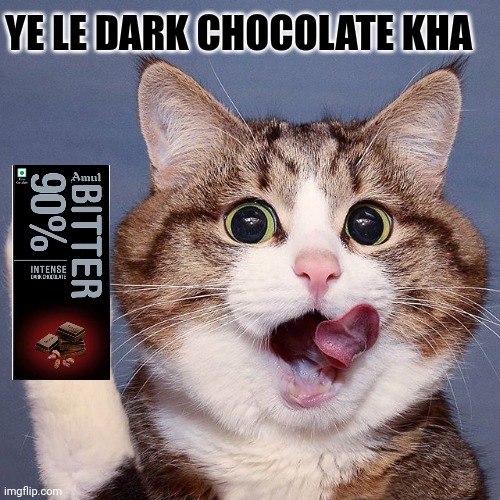 Cat memes | YE LE DARK CHOCOLATE KHA | image tagged in cute dog,chocolate | made w/ Imgflip meme maker