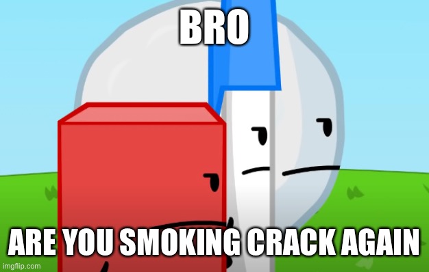 YOU GOT THE WHOLE SQAUD LAUGHING (BFDI Version) | BRO ARE YOU SMOKING CRACK AGAIN | image tagged in you got the whole sqaud laughing bfdi version | made w/ Imgflip meme maker