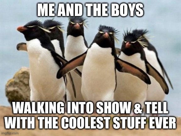 the boys | ME AND THE BOYS; WALKING INTO SHOW & TELL WITH THE COOLEST STUFF EVER | image tagged in memes,penguin gang | made w/ Imgflip meme maker