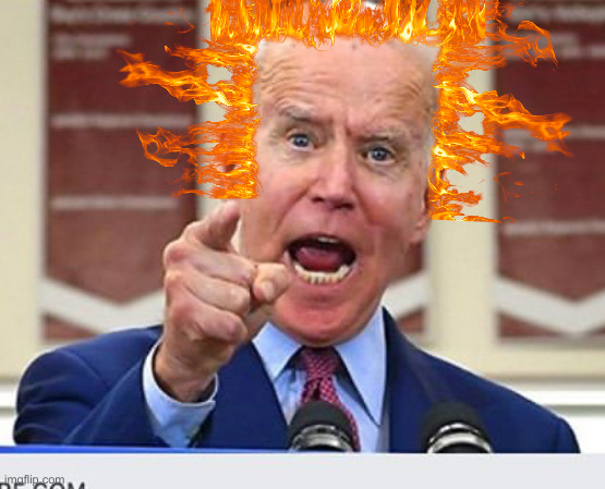 Joe Biden no malarkey | image tagged in joe biden no malarkey | made w/ Imgflip meme maker