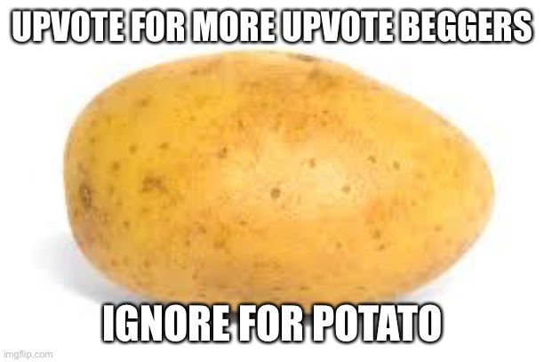 Lol, please ignore | UPVOTE FOR MORE UPVOTE BEGGERS; IGNORE FOR POTATO | image tagged in potato | made w/ Imgflip meme maker