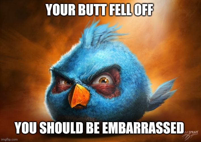 angry birds blue | YOUR BUTT FELL OFF; YOU SHOULD BE EMBARRASSED | image tagged in angry birds blue | made w/ Imgflip meme maker