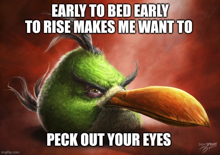 Don't wake bro up | EARLY TO BED EARLY TO RISE MAKES ME WANT TO; PECK OUT YOUR EYES | image tagged in realistic angry bird | made w/ Imgflip meme maker