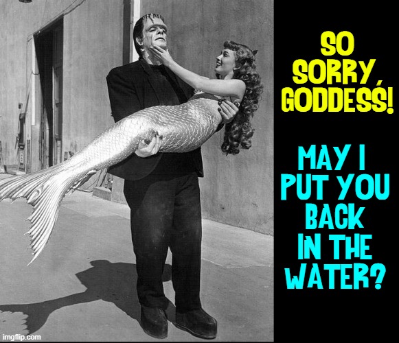 SO
SORRY,
GODDESS! MAY I 
PUT YOU
BACK
IN THE
WATER? | made w/ Imgflip meme maker