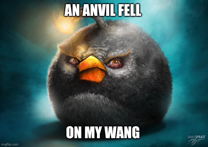 Ouch | AN ANVIL FELL; ON MY WANG | image tagged in realistic bomb angry bird | made w/ Imgflip meme maker