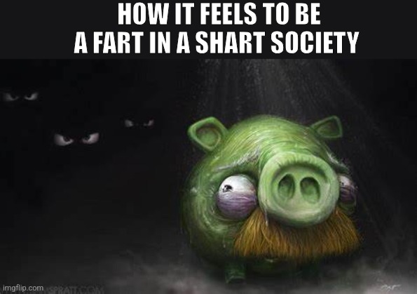 Realistic Pig In Dark | HOW IT FEELS TO BE A FART IN A SHART SOCIETY | image tagged in realistic pig in dark | made w/ Imgflip meme maker