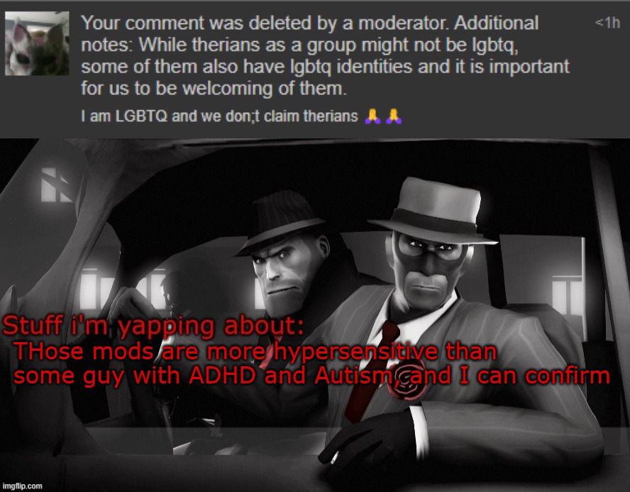 THose mods are more hypersensitive than some guy with ADHD and Autism, and I can confirm | image tagged in neko spy temp | made w/ Imgflip meme maker