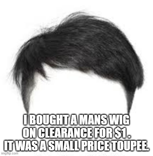 memes by Brad - I bought a mans wig for $1. It was a small price toupee. | I BOUGHT A MANS WIG ON CLEARANCE FOR $1 . IT WAS A SMALL PRICE TOUPEE. | image tagged in funny,fun,wig,funny meme,fake,humor | made w/ Imgflip meme maker
