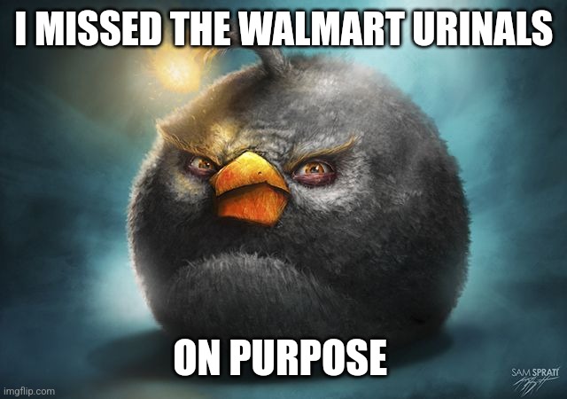 angry birds bomb | I MISSED THE WALMART URINALS; ON PURPOSE | image tagged in angry birds bomb | made w/ Imgflip meme maker