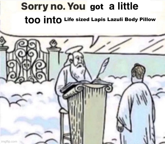 In Loving Memory of My Life Savings | Life sized Lapis Lazuli Body Pillow | image tagged in you got a little too into x | made w/ Imgflip meme maker