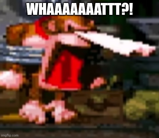 YOWZAS | WHAAAAAAATTT?! | image tagged in yowzas | made w/ Imgflip meme maker