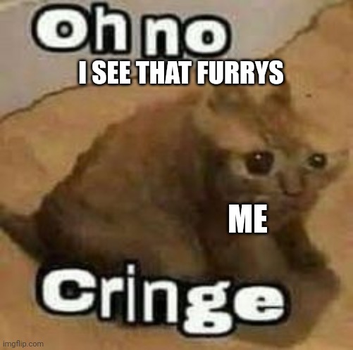 Oh No Cringe | I SEE THAT FURRYS; ME | image tagged in oh no cringe | made w/ Imgflip meme maker