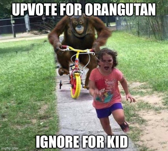 orangutan chasing kid on tricycle | UPVOTE FOR ORANGUTAN; IGNORE FOR KID | image tagged in orangutan chasing kid on tricycle | made w/ Imgflip meme maker