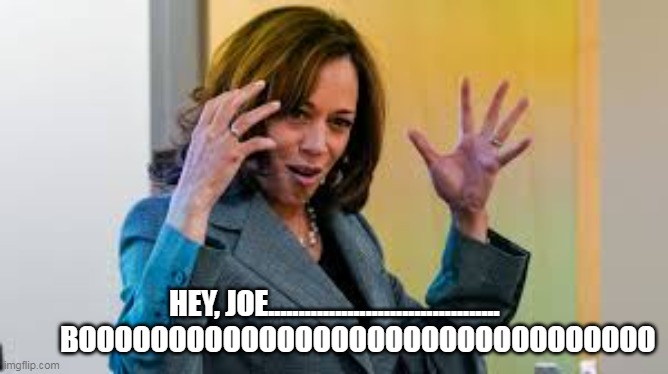 HEY, JOE......................................         BOOOOOOOOOOOOOOOOOOOOOOOOOOOOOOOO | made w/ Imgflip meme maker