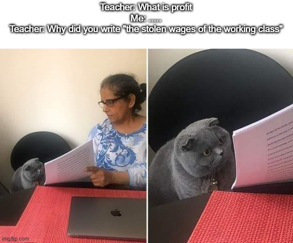 Woman showing paper to cat | Teacher: What is profit
Me: .....
Teacher: Why did you write "the stolen wages of the working class" | image tagged in woman showing paper to cat | made w/ Imgflip meme maker