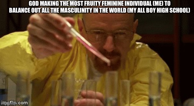 With all the gay panic that naturally occurs in a one-gender school, it’s nice to keep them on their toes | GOD MAKING THE MOST FRUITY FEMININE INDIVIDUAL (ME) TO BALANCE OUT ALL THE MASCULINITY IN THE WORLD (MY ALL BOY HIGH SCHOOL) | image tagged in walter white cooking | made w/ Imgflip meme maker