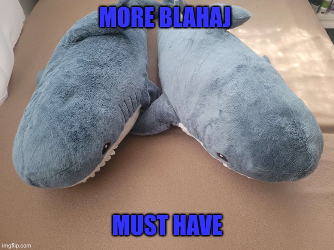 My brother's and my blahaj | MORE BLAHAJ; MUST HAVE | image tagged in my brother's and my blahaj | made w/ Imgflip meme maker