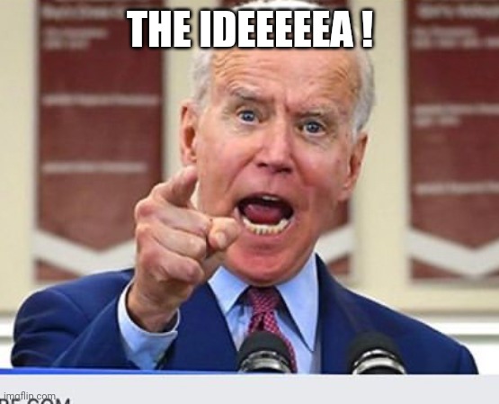 Joe Biden no malarkey | THE IDEEEEEA ! | image tagged in joe biden no malarkey | made w/ Imgflip meme maker