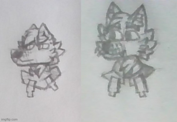 Some head sketches of my two fursonas, Luke and Jason(Sorry for the bad picture quality) | image tagged in furry | made w/ Imgflip meme maker