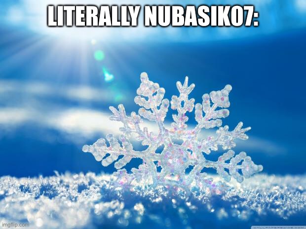 snowflake | LITERALLY NUBASIK07: | image tagged in snowflake | made w/ Imgflip meme maker
