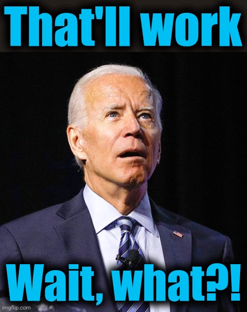 Joe Biden | That'll work Wait, what?! | image tagged in joe biden | made w/ Imgflip meme maker