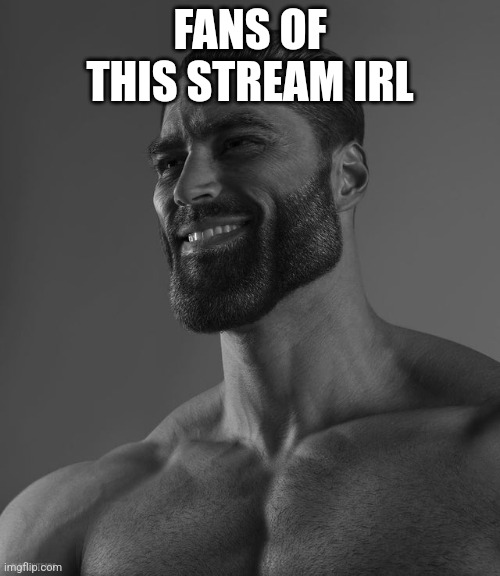 Giga Chad | FANS OF THIS STREAM IRL | image tagged in giga chad | made w/ Imgflip meme maker