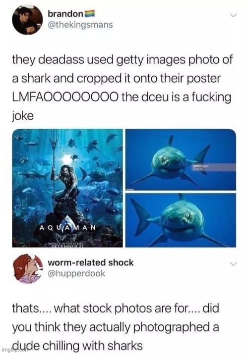 Yes I do think that they would take a photo of a guy chilling with sharks | made w/ Imgflip meme maker