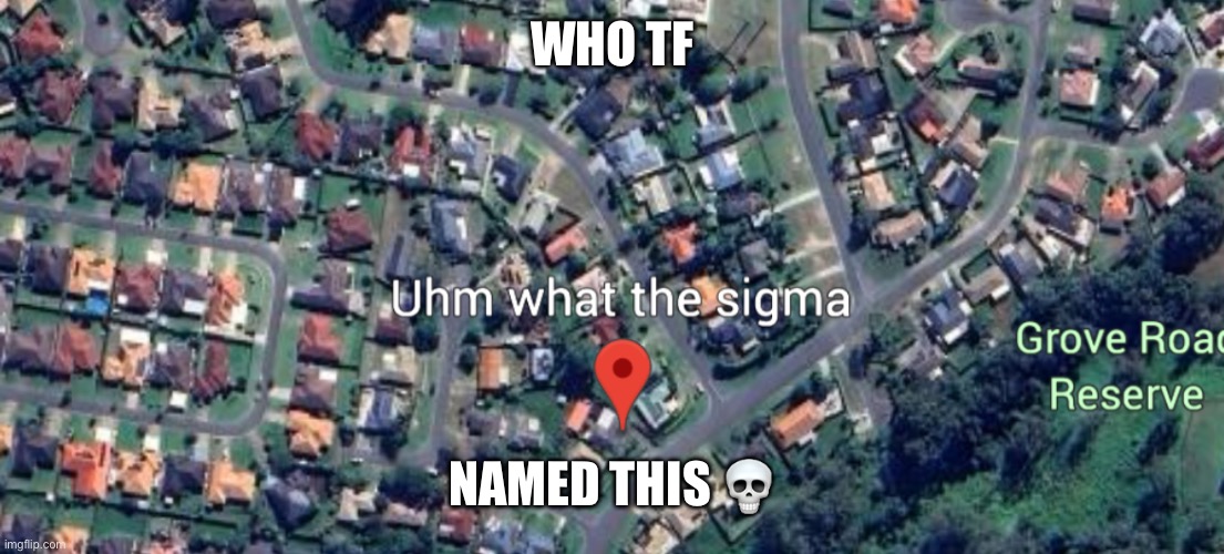 WHO TF; NAMED THIS 💀 | made w/ Imgflip meme maker