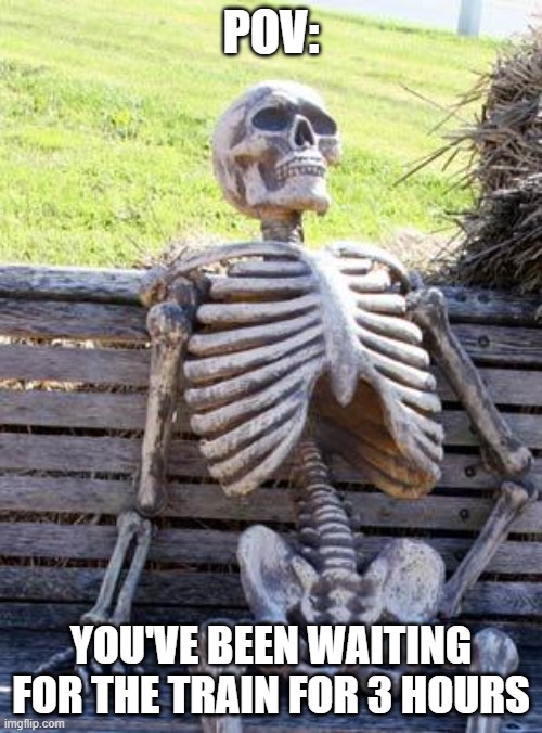 Waiting for a train | POV:; YOU'VE BEEN WAITING FOR THE TRAIN FOR 3 HOURS | image tagged in memes,waiting skeleton | made w/ Imgflip meme maker