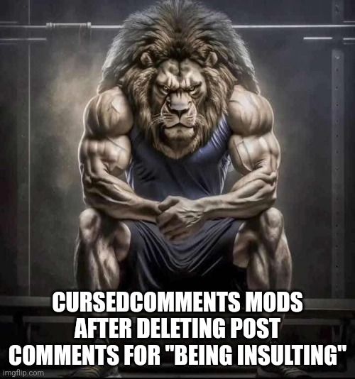 ㅤ | CURSEDCOMMENTS MODS AFTER DELETING POST COMMENTS FOR "BEING INSULTING" | image tagged in how bro felt after saying that | made w/ Imgflip meme maker