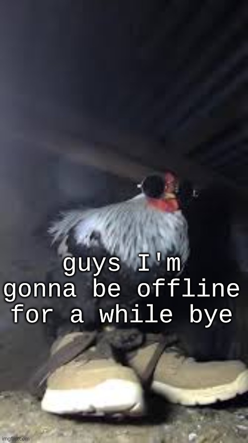 Drip chicken Sp3x_ | guys I'm gonna be offline for a while bye | image tagged in drip chicken sp3x_ | made w/ Imgflip meme maker