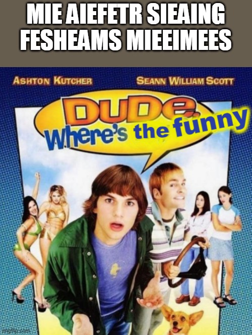 dude where's the funny | MIE AIEFETR SIEAING FESHEAMS MIEEIMEES | image tagged in dude where's the funny | made w/ Imgflip meme maker