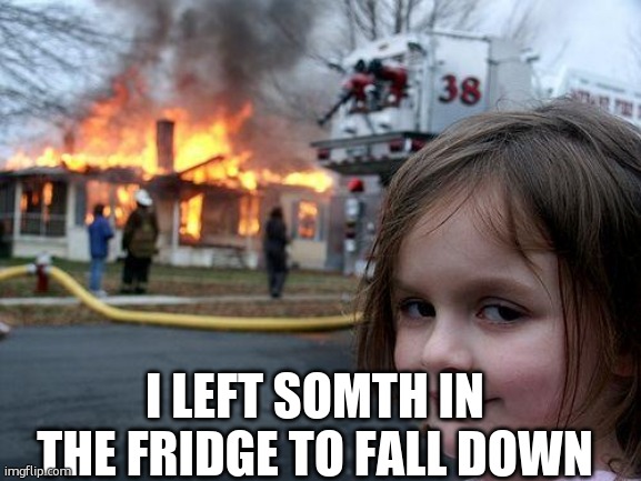 Disaster Girl Meme | I LEFT SOMTH IN THE FRIDGE TO FALL DOWN | image tagged in memes,disaster girl | made w/ Imgflip meme maker