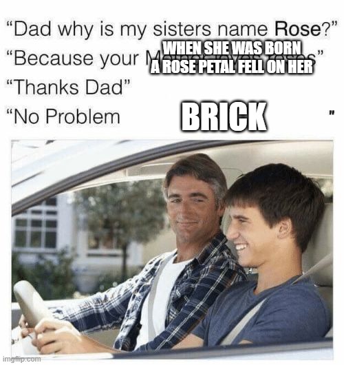 It also explains the dent in his head | WHEN SHE WAS BORN A ROSE PETAL FELL ON HER; BRICK | image tagged in why is my sister's name rose | made w/ Imgflip meme maker