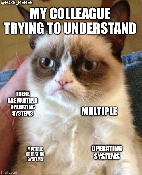 When did you realize? | @FOSS_MEMES; MY COLLEAGUE TRYING TO UNDERSTAND; THERE ARE MULTIPLE OPERATING SYSTEMS; MULTIPLE; OPERATING SYSTEMS; MULTIPLE OPERATING SYSTEMS | image tagged in memes,grumpy cat | made w/ Imgflip meme maker