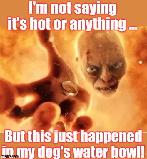 I'm not saying it's hot... | I'm not saying it's hot or anything ... But this just happened in my dog's water bowl! | image tagged in heat,heatwave,summer sucks,too hot | made w/ Imgflip meme maker