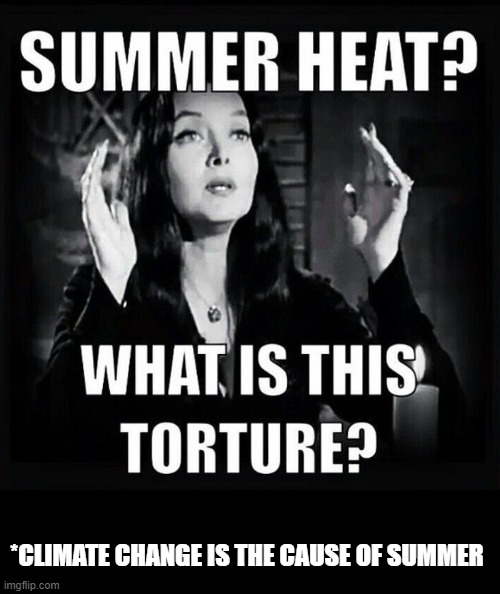 *CLIMATE CHANGE IS THE CAUSE OF SUMMER | made w/ Imgflip meme maker
