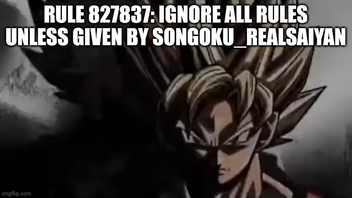Goku Staring | RULE 827837: IGNORE ALL RULES UNLESS GIVEN BY SONGOKU_REALSAIYAN | image tagged in goku staring | made w/ Imgflip meme maker