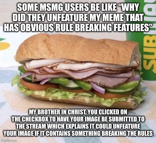 Subway sandwich | SOME MSMG USERS BE LIKE “WHY DID THEY UNFEATURE MY MEME THAT HAS OBVIOUS RULE BREAKING FEATURES”; MY BROTHER IN CHRIST, YOU CLICKED ON THE CHECKBOX TO HAVE YOUR IMAGE BE SUBMITTED TO THE STREAM WHICH EXPLAINS IT COULD UNFEATURE YOUR IMAGE IF IT CONTAINS SOMETHING BREAKING THE RULES | image tagged in subway sandwich | made w/ Imgflip meme maker