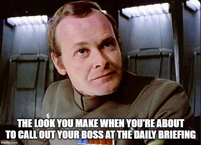 Hey Vader | THE LOOK YOU MAKE WHEN YOU'RE ABOUT TO CALL OUT YOUR BOSS AT THE DAILY BRIEFING | image tagged in darth vader force choke | made w/ Imgflip meme maker