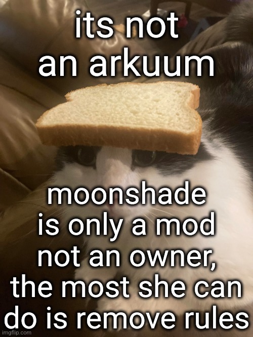 bread cat | its not an arkuum; moonshade is only a mod not an owner, the most she can do is remove rules | image tagged in bread cat | made w/ Imgflip meme maker
