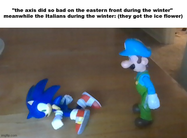 I know, camera quality bad so meme bad | "the axis did so bad on the eastern front during the winter" 
meanwhile the Italians during the winter: (they got the ice flower) | image tagged in italian,eastern front | made w/ Imgflip meme maker