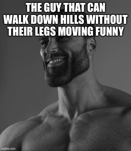 Giga Chad | THE GUY THAT CAN WALK DOWN HILLS WITHOUT THEIR LEGS MOVING FUNNY | image tagged in giga chad | made w/ Imgflip meme maker