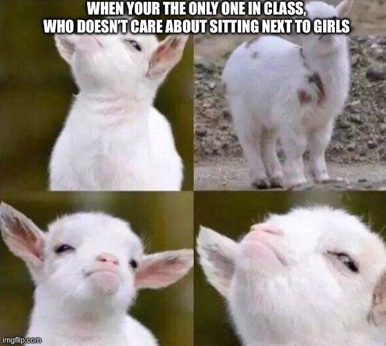 Proud | WHEN YOUR THE ONLY ONE IN CLASS, WHO DOESN’T CARE ABOUT SITTING NEXT TO GIRLS | image tagged in smug goat,school | made w/ Imgflip meme maker